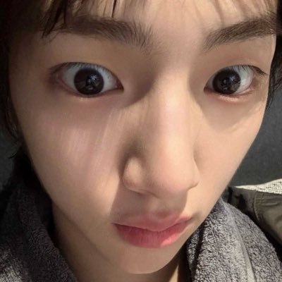 pooliesteer's profile picture. ⠀⠀⠀⠀⠀⠀⠀⠀⠀