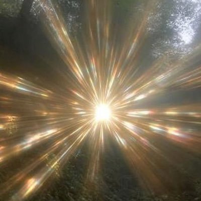 sasamarinha_'s profile picture. 