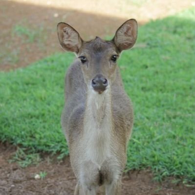 JUNGTYLEEJH's profile picture. Idk what to write honestly