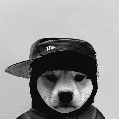 Adj0hn's profile picture. • design • crypto trading beginner • sarcasm