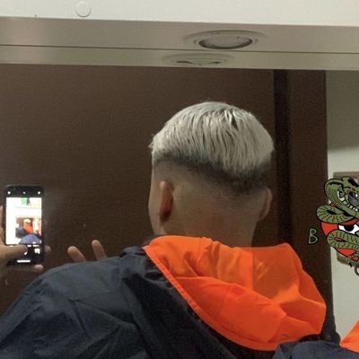 TelegramV15425's profile picture. 