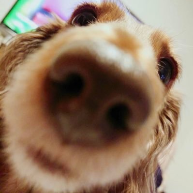 SeBPGxGqgs45's profile picture. 作業療法士（4年目） | 回復期病院 |  ※無言フォロー失礼します