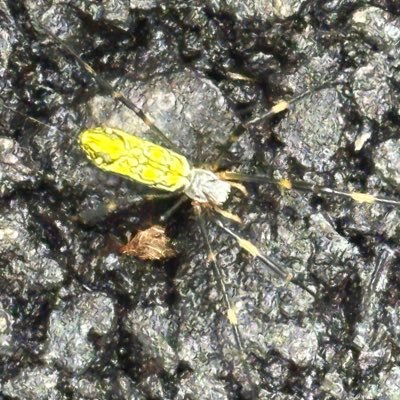 kamuiii0000's profile picture. 20대의 투자 도전기🚀🚀