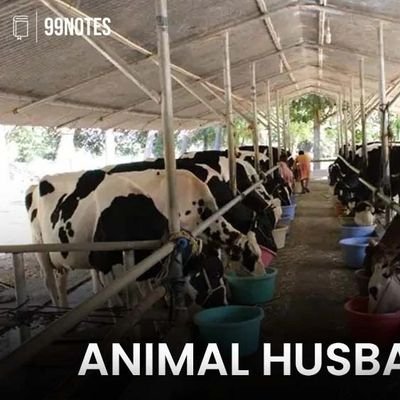 Vdpd123's profile picture. 