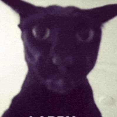 TailxrYN's profile picture. generational hater and Nr. 1 gaslighter