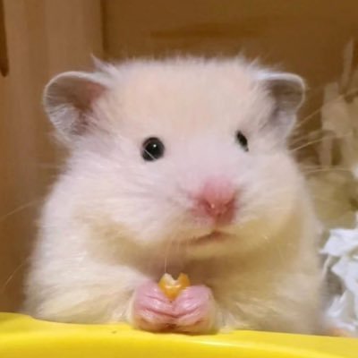 d40al's profile picture. 