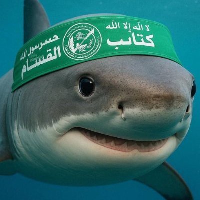 nuke_is_real's profile picture. 