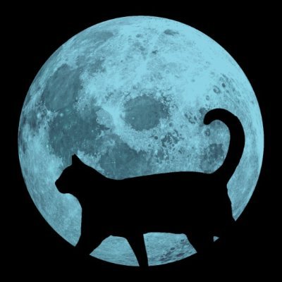 inside_thenight's profile picture. Che la libertà sia la nostra essenza!      🏳️‍🌈🏴‍☠️