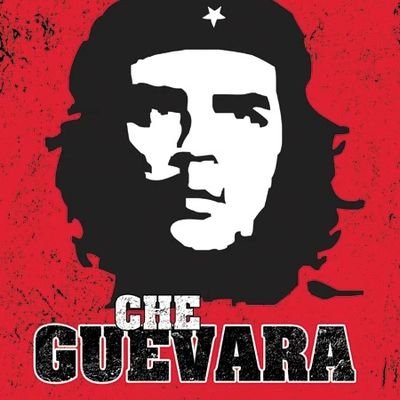 viefpy's profile picture. 