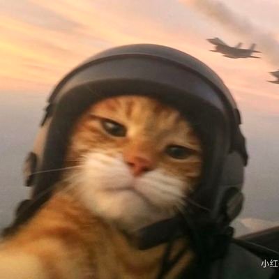 hcvert's profile picture. i'm gag