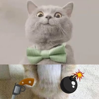 jinnyk30's profile picture.