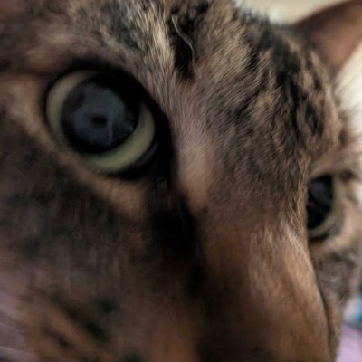 Daroard's profile picture. Your silly possessed shark. Either in my plushie or human form~
Profile: Ix_Naon 

Banner: NichaneJay

Private: DaroAfterDark