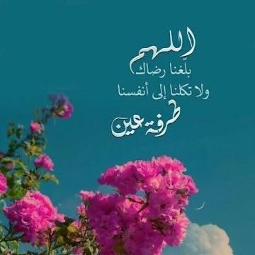 nnnan7654's profile picture. استغفر الله العظيم سبحان الله وبحمده عدد خلقه ورضا نفسه وزنة عرشه