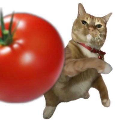 terbuset's profile picture. 