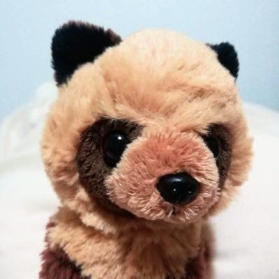 mogi_book's profile picture. 本と、ぬいと、日常と。ごまかし、ごまかし生きている司書のアカウント。本はあんまり読まない。