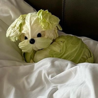 widiwtlal's profile picture. GreatInn | PearlPeak | AppleMim