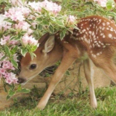 mariaa_tonkin's profile picture. 𝘛𝘩𝘦 𝘢𝘳𝘵 𝘰𝘧 𝘣𝘦𝘪𝘯𝘨౨ৎ