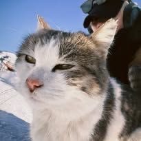 97dyo's profile picture. ZB1 & EVNNE #김태래 #박한빈 #이정현