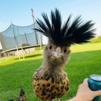 FranQue44139001's profile picture. Seres amables