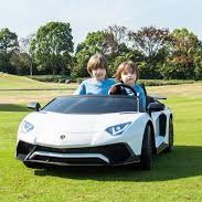 MissionLambo's profile picture. Trading $15,000 into a Lambo for my little brother before he gets his license.

Current Balance: $15,000

Follow the journey.