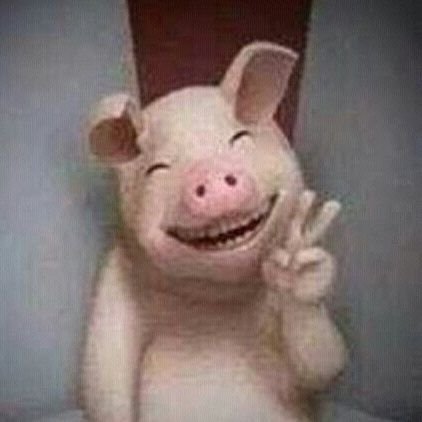 Yongkokong's profile picture. 제발 친구해주세요