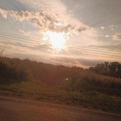 lulacarbon35693's profile picture. 