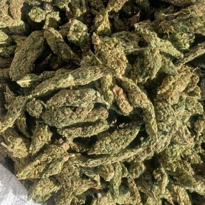 abmixellx's profile picture. Sometimes 🍃