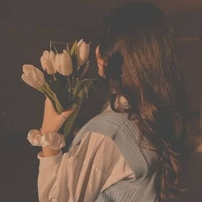 ShorifH31526's profile picture. 