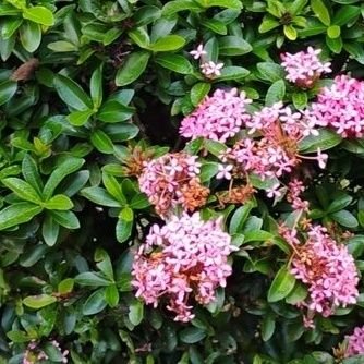 MEHTAKAUSHIK001's profile picture. 