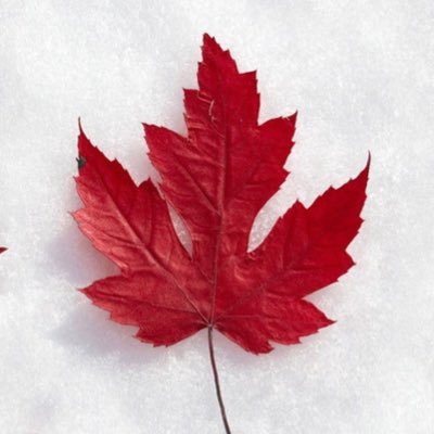 techcafe's profile picture. Billionaires should not exist. We don't need them. They need us. #TaxTheRich