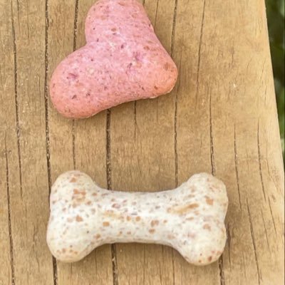 thehusslaaa's profile picture. Dev in the making