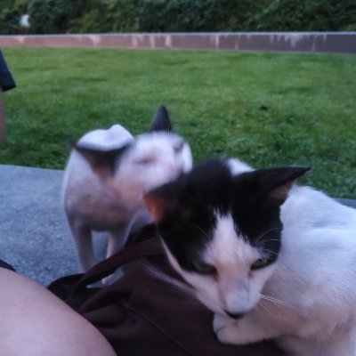 EricTalanq95441's profile picture. 