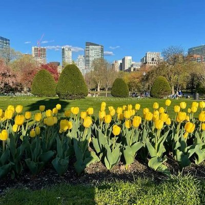 bunny12bn's profile picture. 