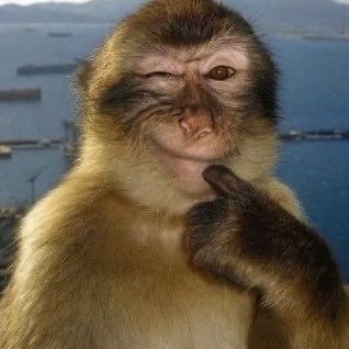 fuckingstyls's profile picture. 