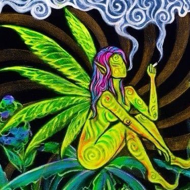 analisandoan's profile picture.