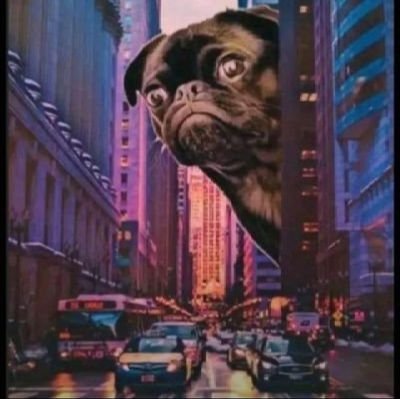 0Nomdeplume's profile picture. 