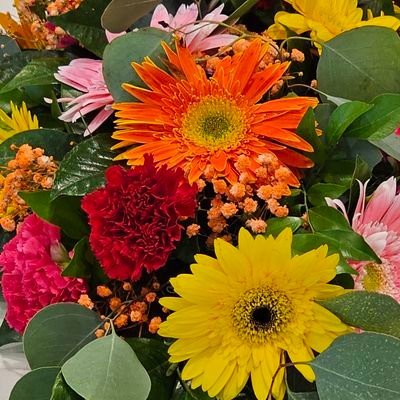 Lamujerdecubao's profile picture. * EXO-L.
* Minsan, tao. Minsan, diwata. Madalas, guni-guni.
* Fan account.
* 🐱🐰🐏🐶🦖🍒🐧🐻🐥