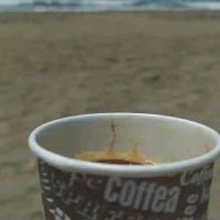 Dave (@davebuck1) 's Twitter Profile