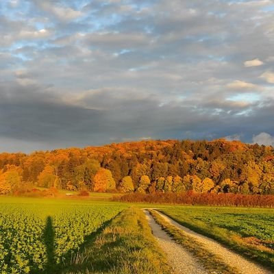 moonstarrock's profile picture. Hello stalkers