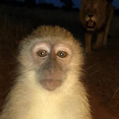 foilzr's profile picture.