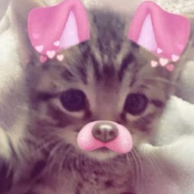 nalknow's profile picture. super ddungnyangi