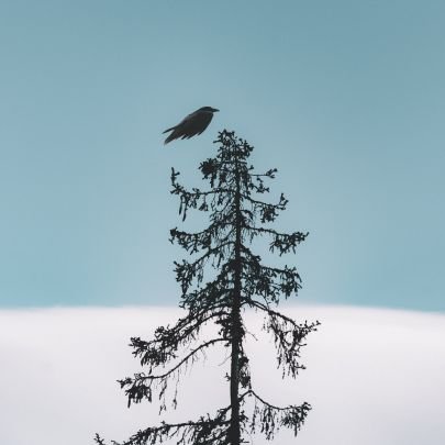 pksharm17177414's profile picture. 🕉️ॐ नमः शिवाय 🕉️
🚩Hindu and Proud 🚩
♨️Shiva Devotee♨️
❣️Minimalist Living, Infinite Thinking❣️
🙏Respect Everyone, Fear No One🙏