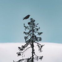 Fighter Boss 🤼 (@pksharm17177414) 's Twitter Profile Photo