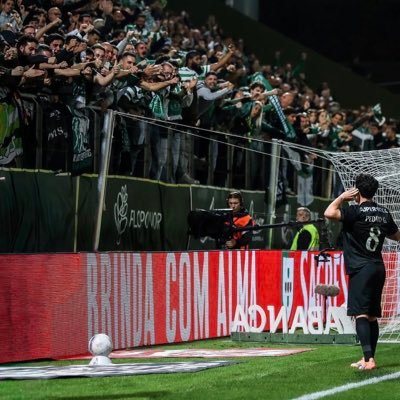 toninhogdg39's profile picture. Sporting 💚