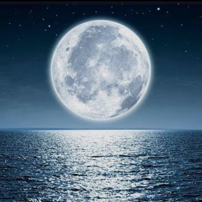 MuallaSoyu71686's profile picture. El-Hūrra 🕊️ 🤍“Dem bu, sus ve dinle.”Bugün hiçbirimiz,birbirimizi dinlemiyor. Çünkü iç sesimiz kapalı, akıllarımız çok gürültülü. 🧠🤯⛈️💭