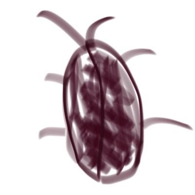 justsurfin_'s profile picture. 🌊 surfin 🌊