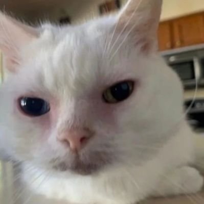 blangogh's profile picture. quién pudiera no ser nada