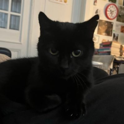 tiltslaan's profile picture. this is she 🇵🇸