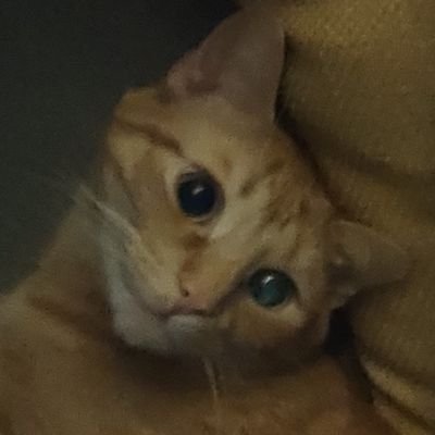 Sammy_97589's profile picture. 