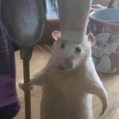 star_otto81943's profile picture. love